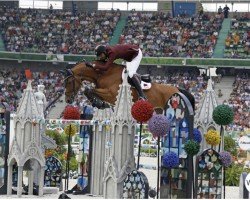 jumper Toulini Olympic (Danish Warmblood, 2012, from Toulouse)