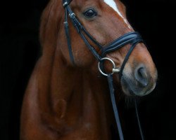 horse Arbury (Rhinelander, 2003, from Abanos)