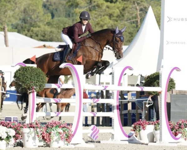 Springpferd Lopez 39 (Deutsches Sportpferd, 2012, von Lord Argentinus)