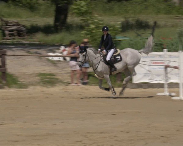 Reitturnier Schönfeld 2025
