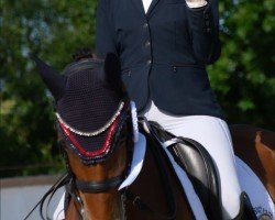 Springpferd Quivella (Holsteiner, 2013, von Quiwi Dream)