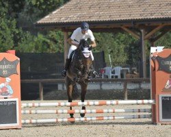Zuchtstute P'Compadre Canturada (Italienisches Warmblut, 2007, von Canturo)
