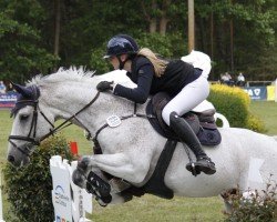 jumper Cascar (Holsteiner, 2013, from Cascadello)