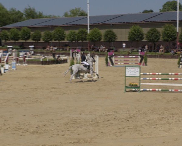 Reitturnier Schönfeld 2025