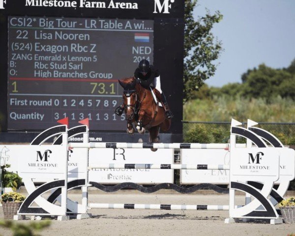jumper Exagon RBC Z (Zangersheide riding horse, 2014, from Emerald van 't Ruytershof)