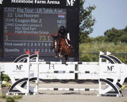 jumper Exagon RBC Z (Zangersheide riding horse, 2014, from Emerald van 't Ruytershof)