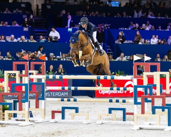 jumper Kina V (KWPN (Royal Dutch Sporthorse), 2015, from Don Diablo HX)