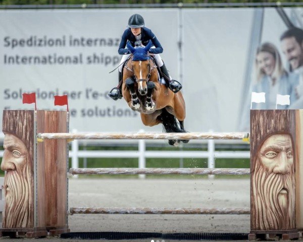 stallion Farzack des Abbayes (Selle Français, 2015, from Montender)