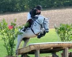 broodmare Violine SW (German Riding Pony, 2005, from Vincent)