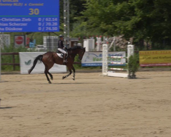 Reitturnier Schönfeld 2025