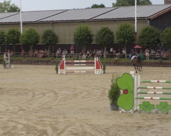 Reitturnier Schönfeld 2025