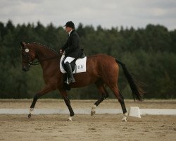 broodmare Designed By (Trakehner, 2001, from Handryk)