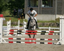 horse Fame of Glossy (Trakehner, 2000, from Handryk)