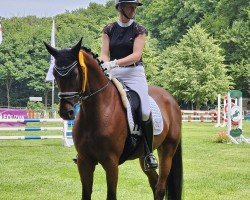 dressage horse Benita (Rhinelander, 2018, from Callaho's Benicio)