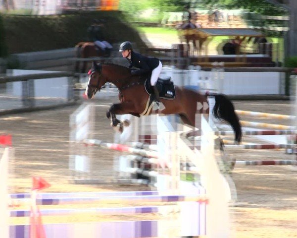 Reitturnier Berching/Opf. 2025