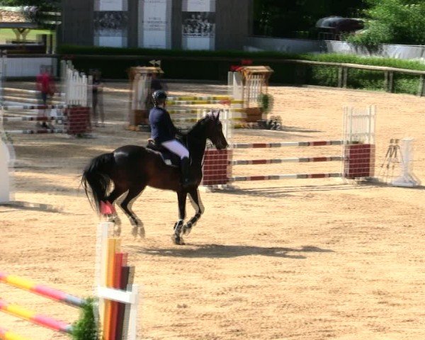 Reitturnier Berching/Opf. 2025