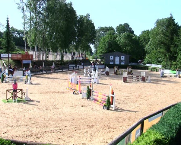 Reitturnier Berching/Opf. 2025