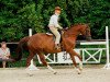 broodmare Rosenstolz (Trakehner, 1997, from Handryk)