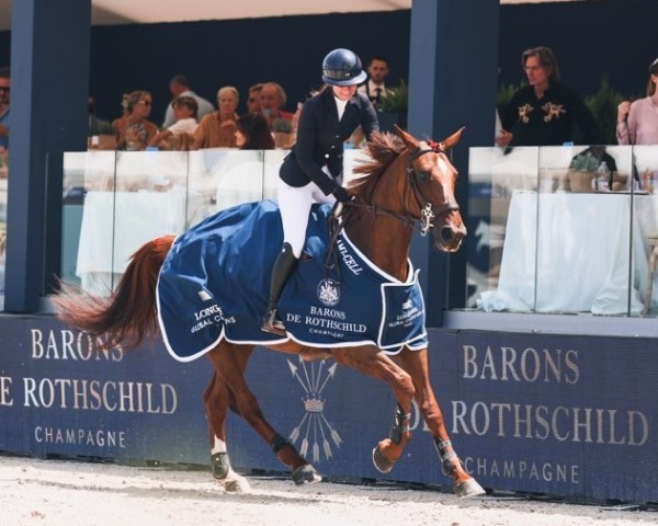 broodmare Elina de Grandry (Selle Français, 2014, from Qlassic Bois Margot)