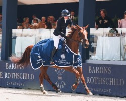 broodmare Elina de Grandry (Selle Français, 2014, from Qlassic Bois Margot)