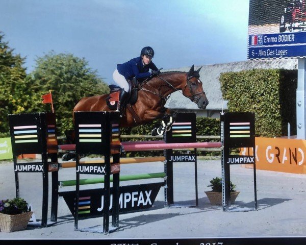 broodmare Aka des Loges (Anglo-Arabs, 2010, from Poor Boy)