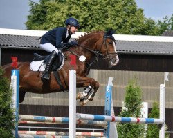 broodmare French Kiss E (German Riding Pony, 2003, from Famos)