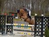 jumper Barnaby 35 (Oldenburg show jumper, 2015, from Balou du Rouet)