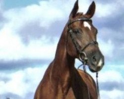 broodmare Wildrose (Hanoverian, 1994, from Weltmeyer)