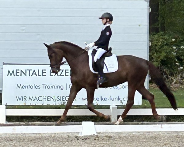 dressage horse Fine Art G (Hanoverian, 2014, from Franziskus FRH)