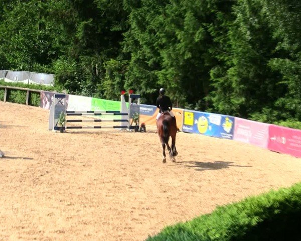 Reitturnier Berching/Opf. 2025