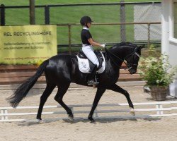 dressage horse Feuerherz (Westphalian, 2018, from For Romance I)