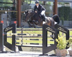 jumper Die Kleine Donna Z (Zangersheide riding horse, 2020, from Dominator 2000 Z)
