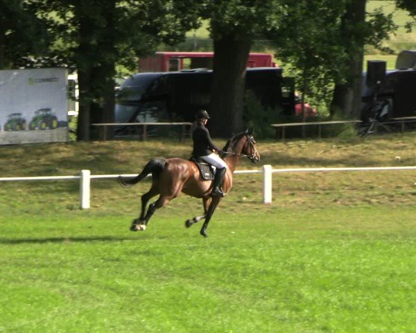 Reitturnier Sonnewalde 2025