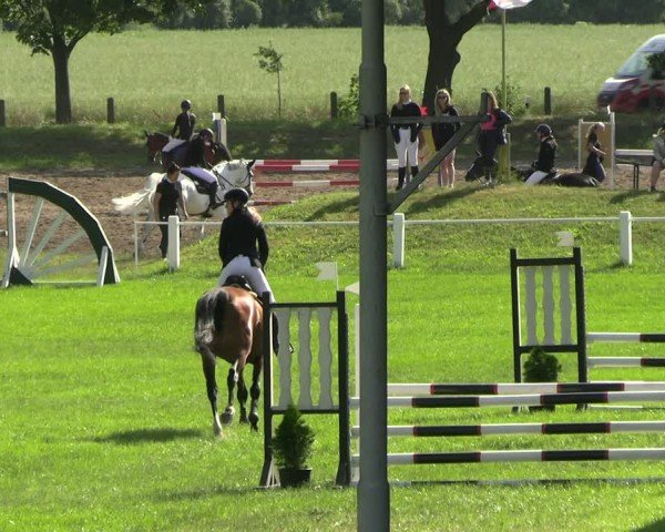 Reitturnier Sonnewalde 2025