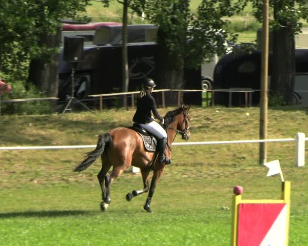 Reitturnier Sonnewalde 2025