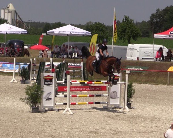 Reitturnier Holschdubrau 2025