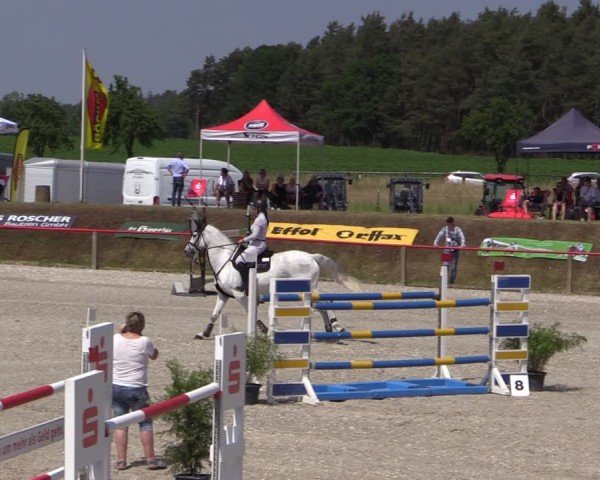 Reitturnier Holschdubrau 2025