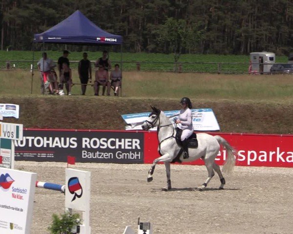 Reitturnier Holschdubrau 2025