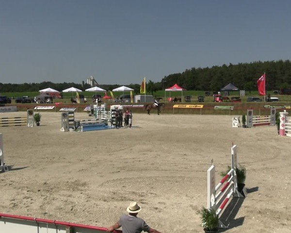 Reitturnier Holschdubrau 2025