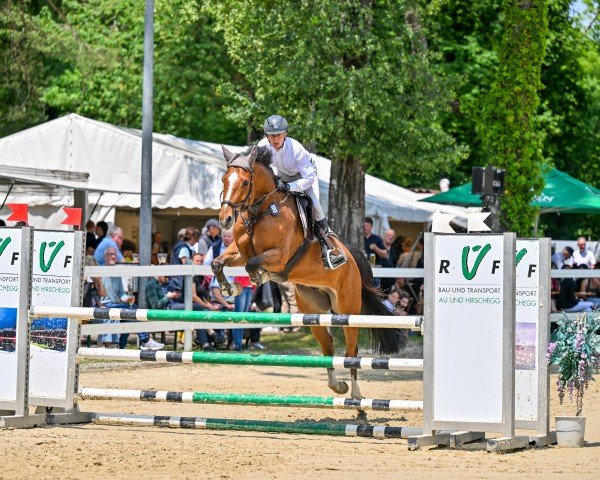 jumper Jadore du Soleil (Selle Français, 2019, from President)
