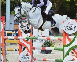 Springpferd Valliant Fh (Schwedisches Warmblut, 2016, von Vigo d'Arsouilles)