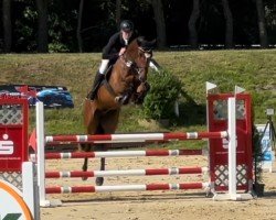 jumper Unbelievable 21 (Oldenburg show jumper, 2019, from Unlimited)