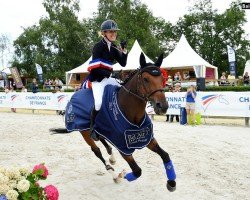 jumper Rouf Brecourt (Selle Français, 2005, from Quidam de Revel)