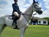 jumper Carpino 4 (Oldenburg show jumper, 2005, from Carinue)