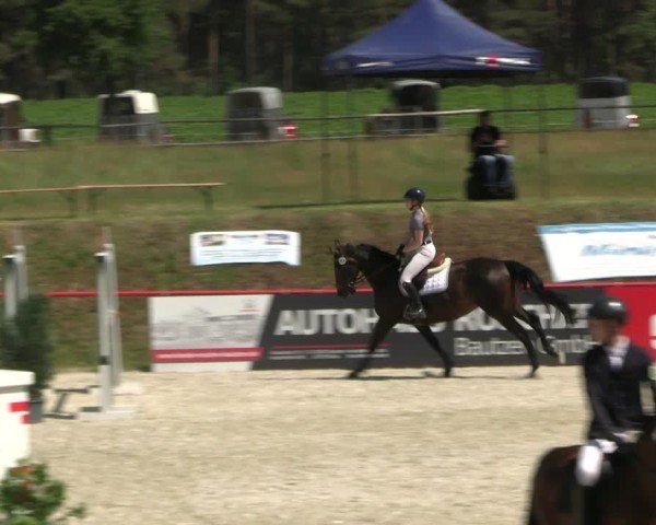 Reitturnier Holschdubrau 2025