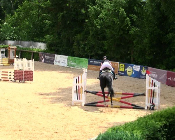 Reitturnier Berching/Opf. 2025