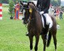 dressage horse Mooken (German Riding Pony, 2005, from Mac Namara)