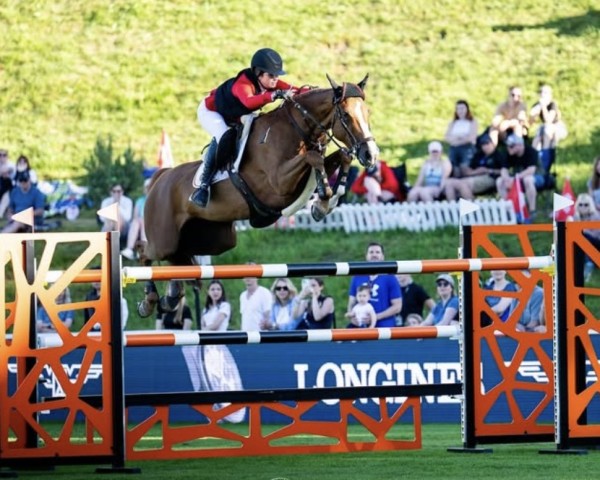 jumper Portobella van de Fruitkorf (Belgian Warmblood, 2015, from Bamako de Muze)