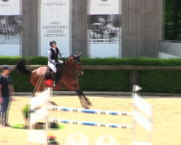 Reitturnier Berching/Opf. 2025