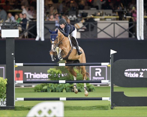 Springpferd Trixie Z (Zangersheide Reitpferd, 2014, von Tobago Z)